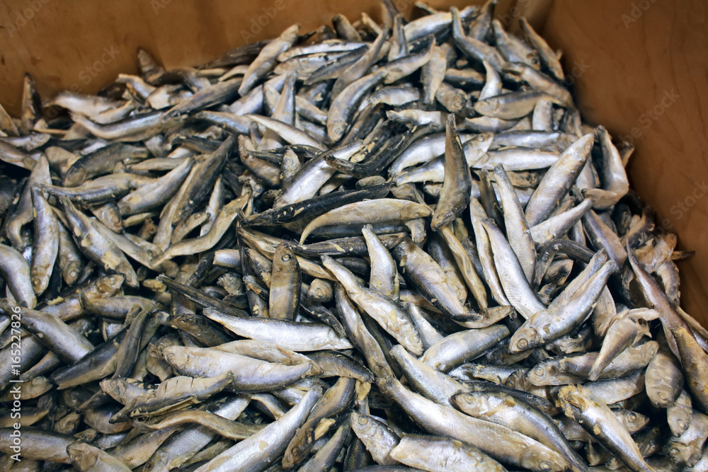 Frozen fish in supermarket Frozen fish in supermarket