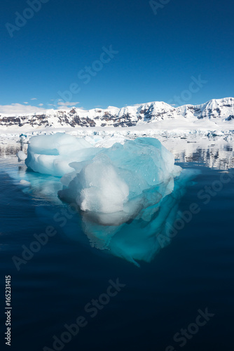 Icebergs along the Antarctic Peninsula