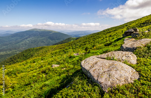 meadow with boulders in Carpathian mountains in summer
