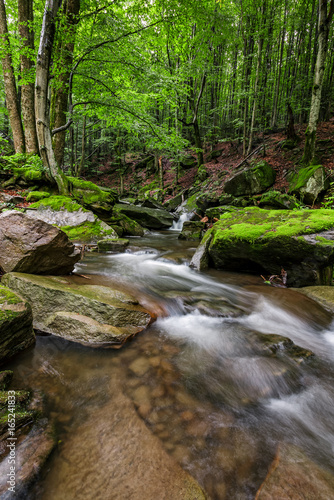 powerful creak with cascade in green forest