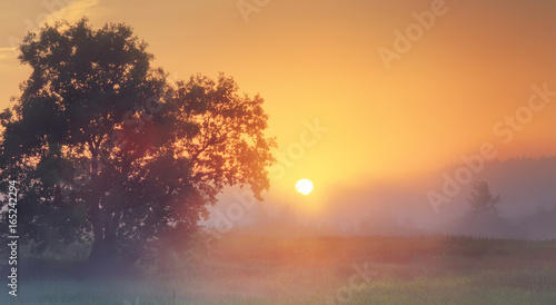 Fototapeta Naklejka Na Ścianę i Meble -  Misty summer sunrise