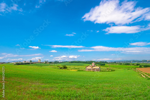 Rural landscape where the farmhouse of Anseong Farmland is seen in summer green.