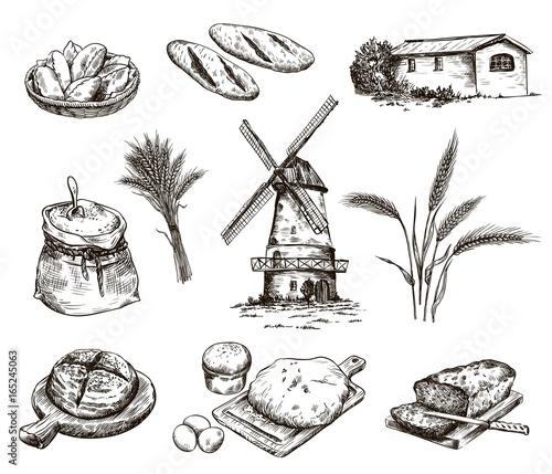 windmill and fresh bakery products. homemade baking. bakery products. vector sketch on white
