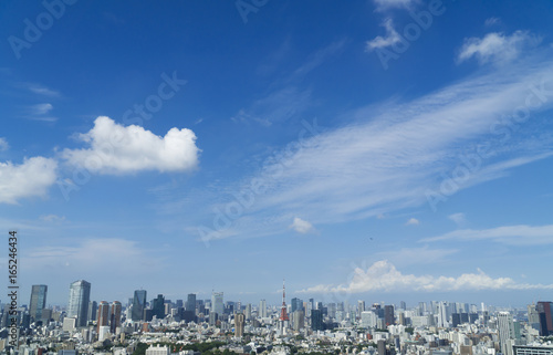 東京風景 7月 東京タワーと都心の街並み