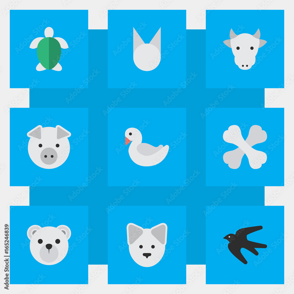Vector Illustration Set Of Simple Animals Icons. Elements Wolf, Turtle,  Skeleton And Other Synonyms Tomcat, Swine And Dog. Stock Vector | Adobe  Stock