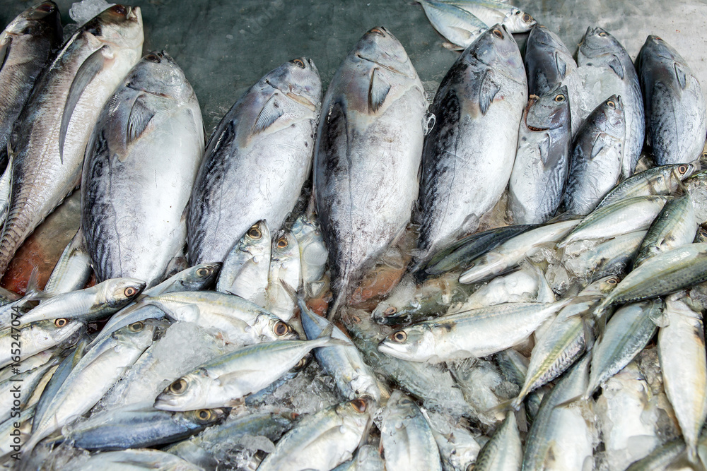 Obraz premium Marine fish sold to the market.