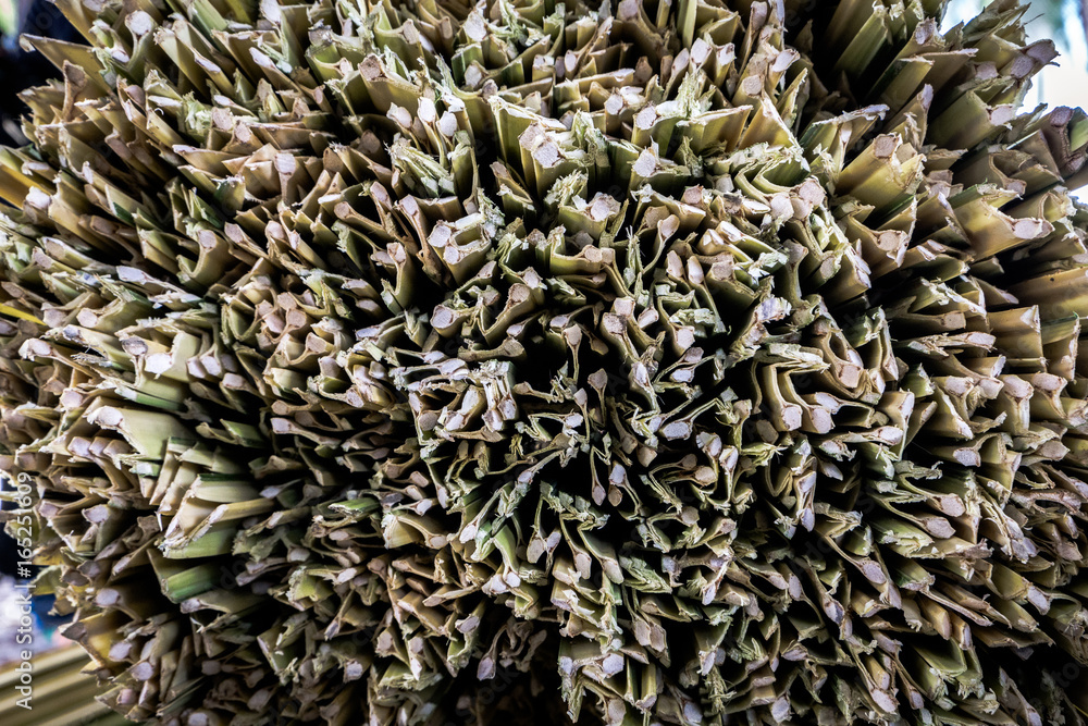 Dry nipa (or nypa) palm leaves for making traditional rolling cigarette in Kelantan. Smoker will add tobacco later for rolling cigarette. Dry nipa (or nypa) palm leaves for making traditional rolling cigarette in Kelantan. Smoker will add tobacco later for rolling cigarette.
