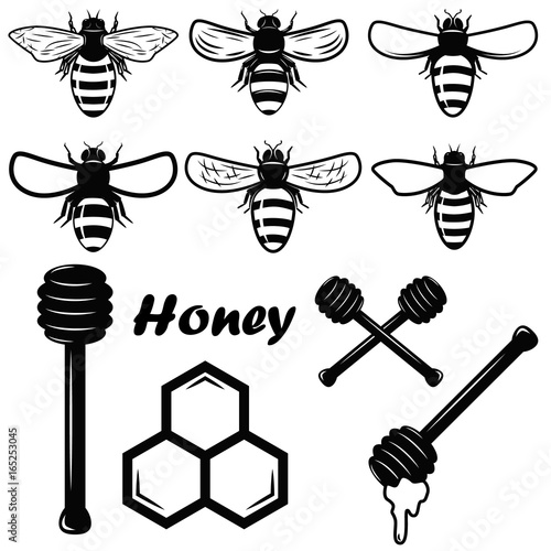 honey design elements. Bee illustrations. Design elements for emblem, sign, badge. Vector illustration