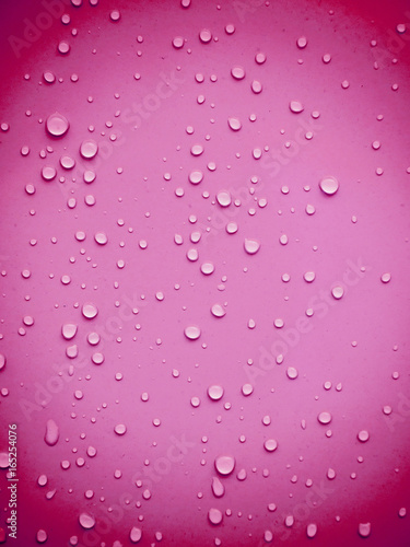 Water drops on pink background