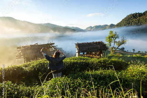 This place is located in front of the Tea plantation 2000 's entrance at Doi Ang Khang in Chiang Mai, THAILAND.Mountain on misty morning. © poylock19