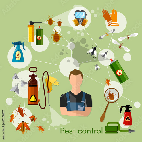 Pest control services infographics detecting exterminating insects illustration