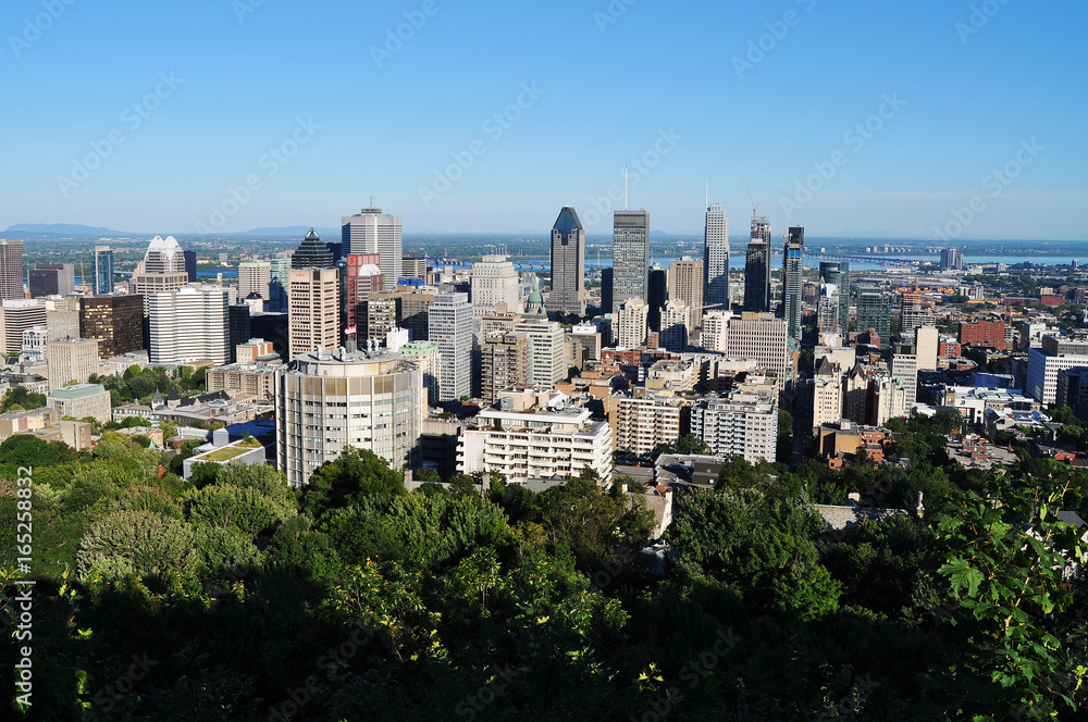 View from the Mont Royal of downtown Montréal skyscrapers during a green and sunny summer