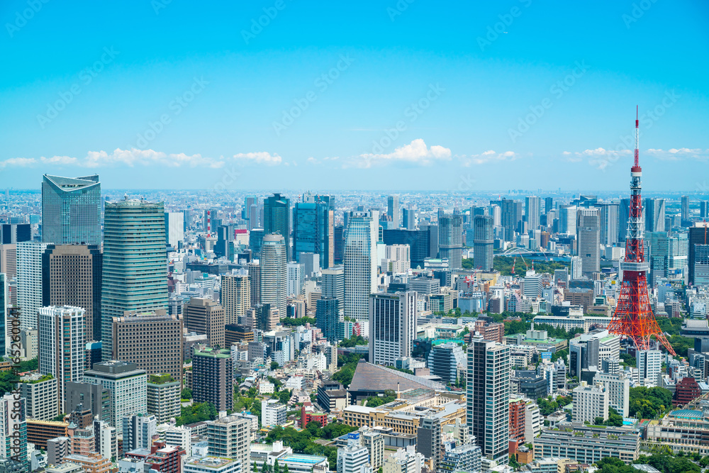 Naklejka premium 東京風景