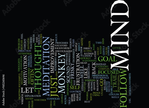THE MIND IS LIKE A FRISKY MONKEY Text Background Word Cloud Concept