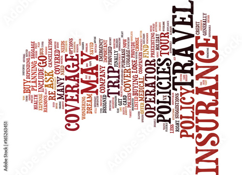 THE IMPORTANCE OF TRAVEL INSURANCE Text Background Word Cloud Concept
