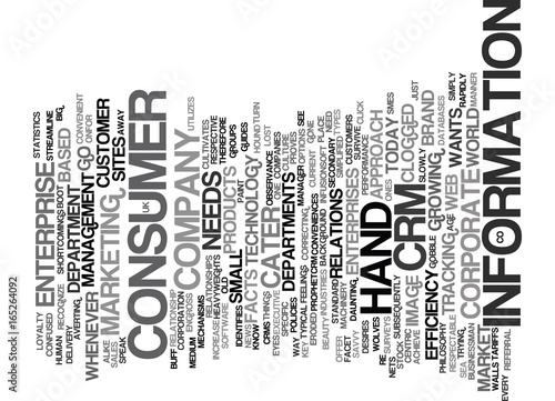 THE EXECUTIVE CONSUMER AND CRM Text Background Word Cloud Concept