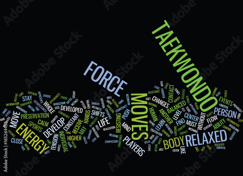 THE ESSENCE OF TAEKWONDO MOVES Text Background Word Cloud Concept