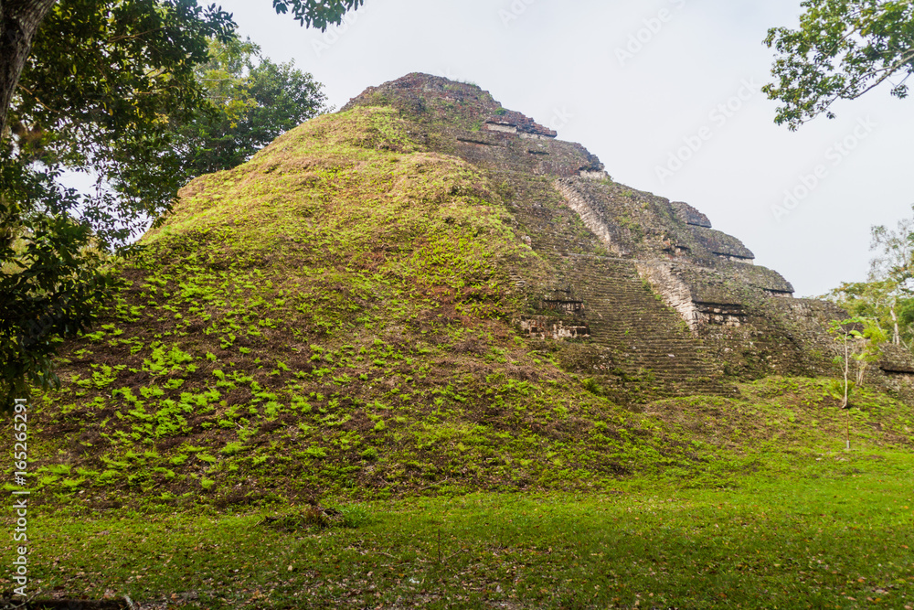 Pyramid at the archaeological site Tikal, Guatemala
