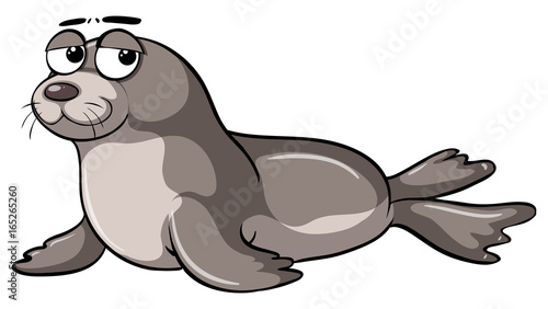 Seal with sleepy eyes