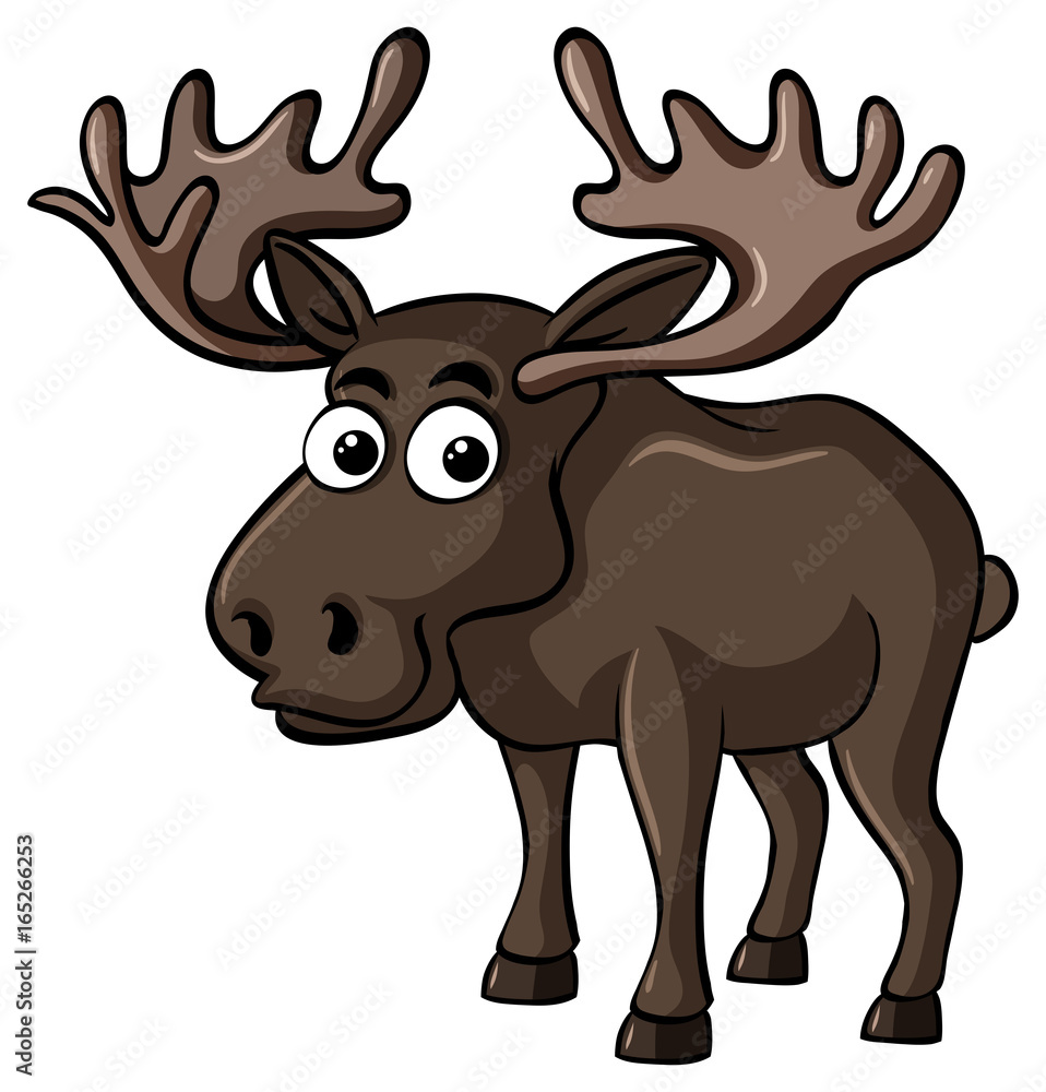 Brown moose on white background Brown moose on white background
