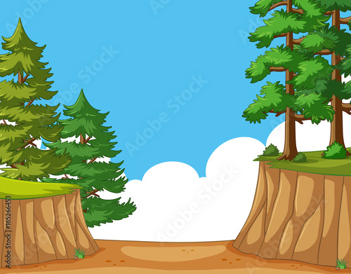 Nature scene with trees on the cliff