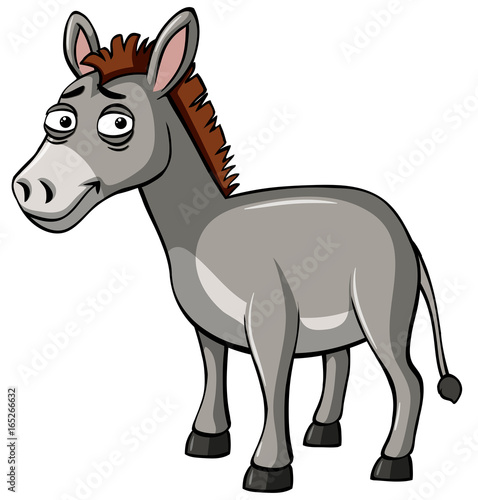 Gray donkey with sad face