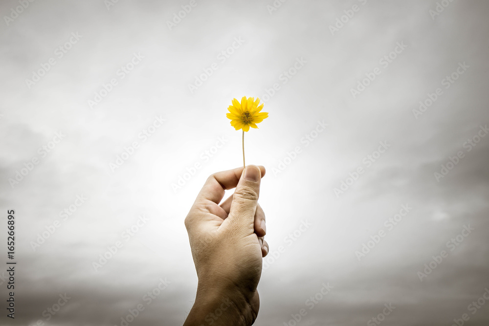 Fototapeta premium kwiat nadziei na niebie, kolor rozpaczy, unosi się z rękami do nieba.