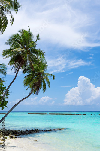 Tropical pristine beach with coconut palms