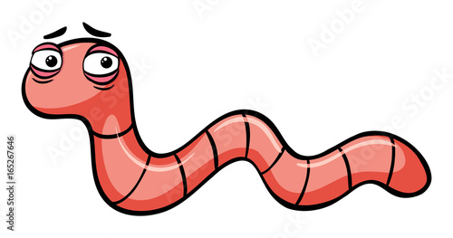 Earthworm on white background