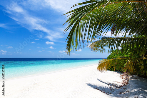 Fototapeta Naklejka Na Ścianę i Meble -  Tropical pristine beach with coconut palms