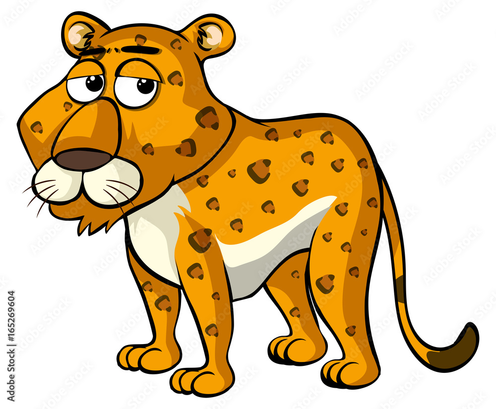 Cheetah with sleepy eyes Cheetah with sleepy eyes