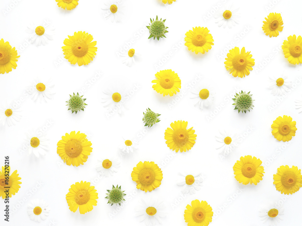 Flower pattern of wildflowers. Composition of flowers and plants. Top view. Floral abstract background. Flower concept. Flower pattern of wildflowers. Composition of flowers and plants. Top view. Floral abstract background. Flower concept.