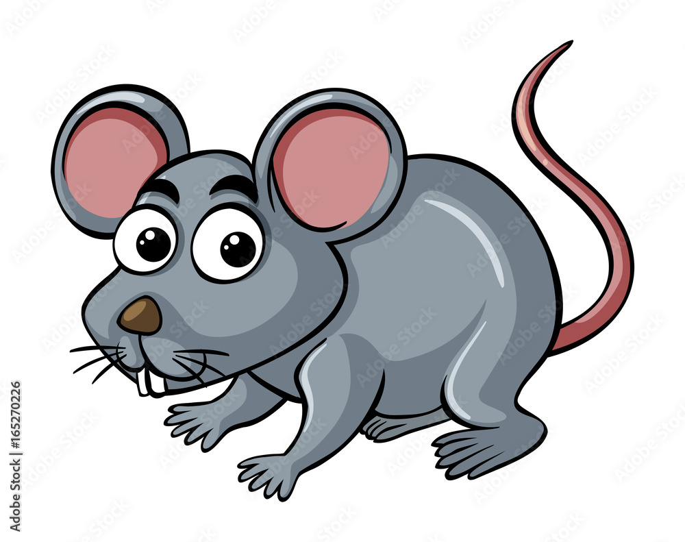 Rat with happy face Rat with happy face