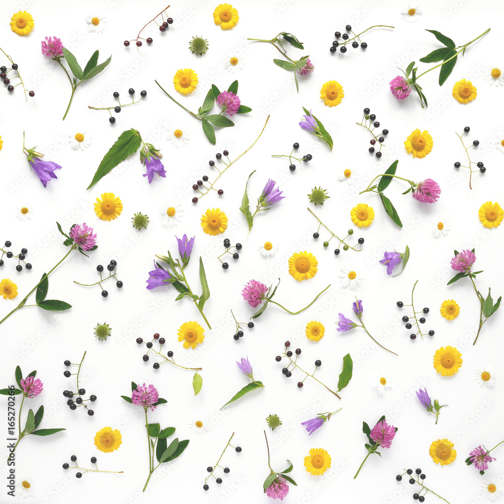 Flower pattern of wildflowers. Composition of flowers and plants. Top view. Floral abstract background. Flower concept. Bright multicolored flowers isolated on white background.