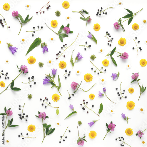 Flower pattern of wildflowers. Composition of flowers and plants. Top view. Floral abstract background. Flower concept. Bright multicolored flowers isolated on white background.