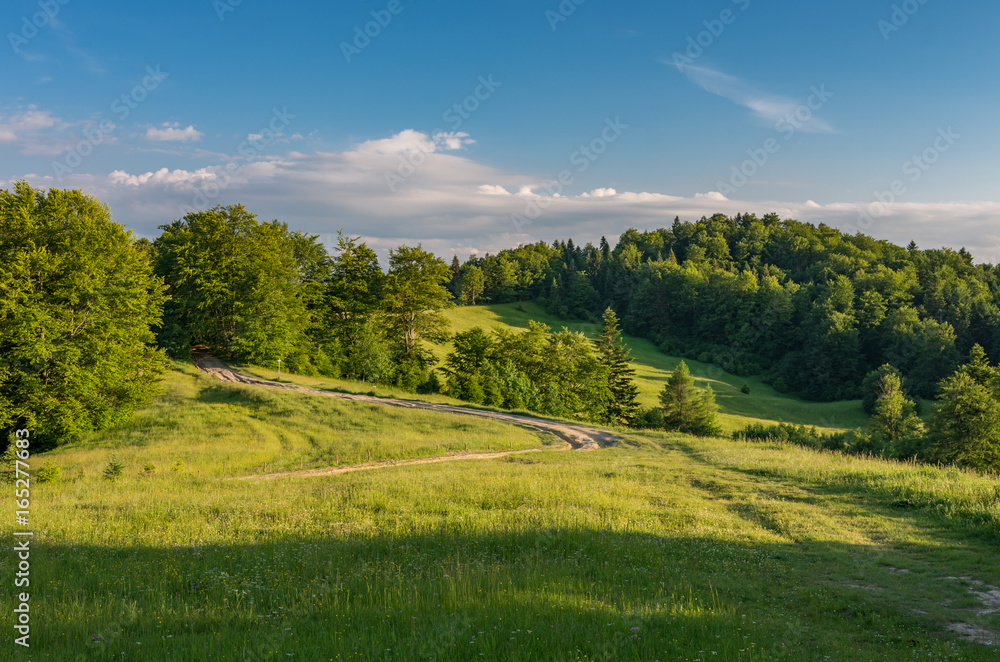 Beskidy mountains panorama, Poland landscape, green spring meadow,