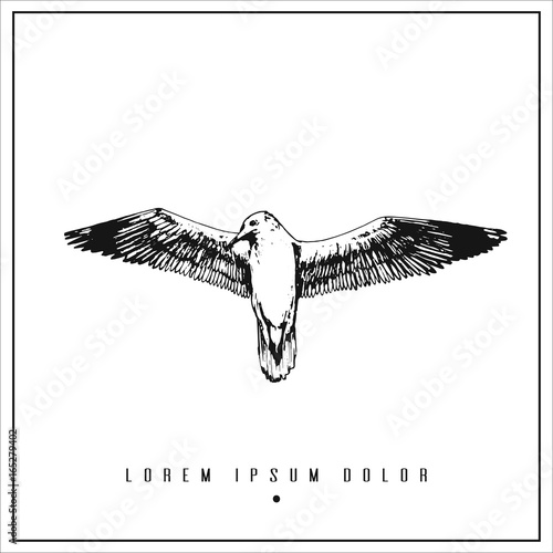 hand drawn isolated illustration with seagull and place for your text. minimalism vintage  invitation, label or card