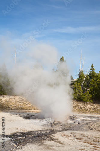 Lower geyser basin