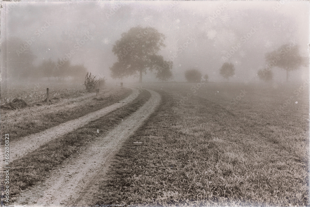 Old black and white photo of dirt road in rural landscape in mist.