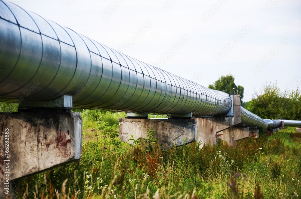 a shiny pipeline running through colorfull meadow