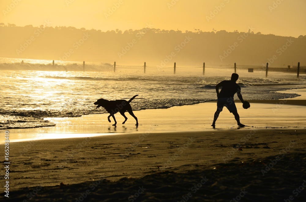 playing with dog right before sunset on the beach playing with dog right before sunset on the beach