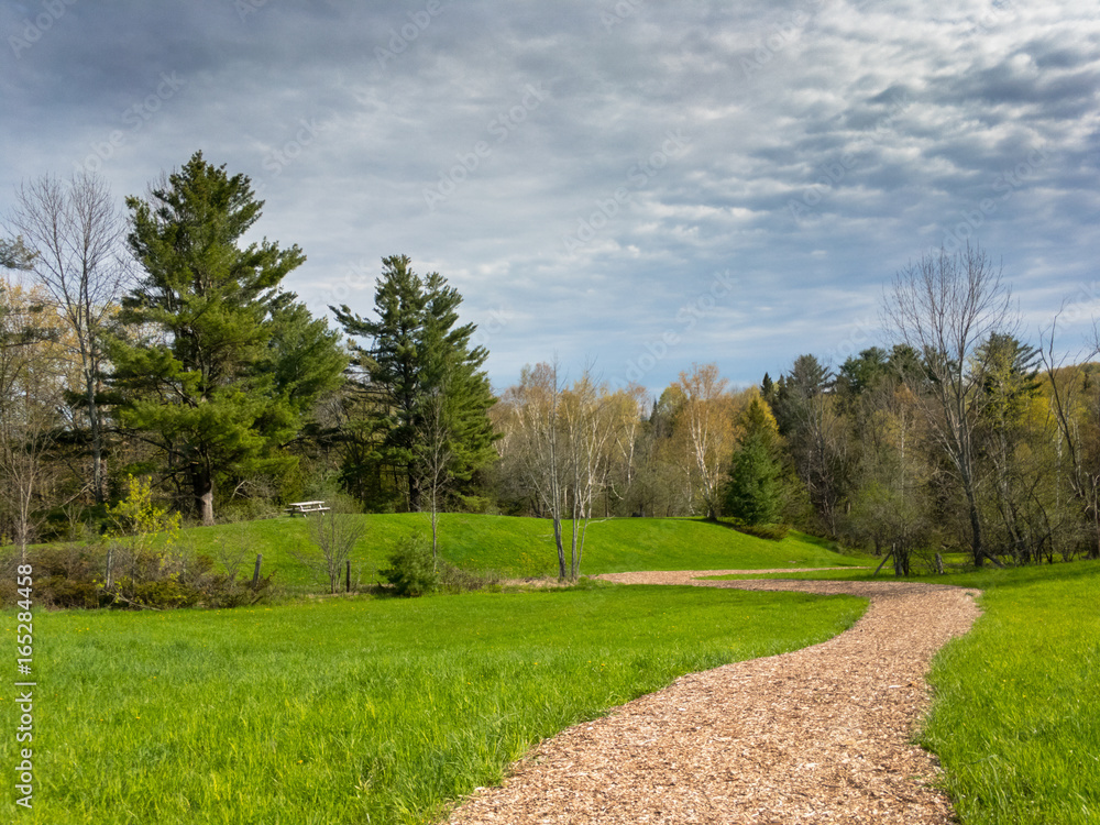 Obraz premium Footpath countryside