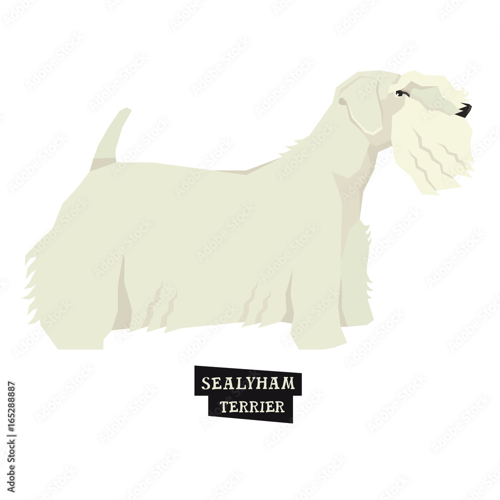 Dog collection Sealyham Terrier Geometric style Isolated object