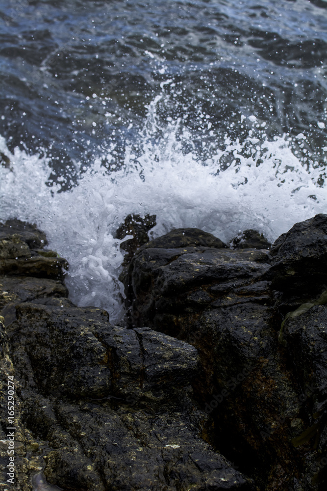 Coast Coast
