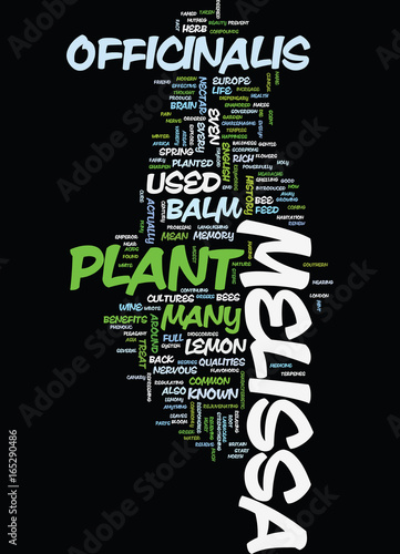 MELISSA Text Background Word Cloud Concept