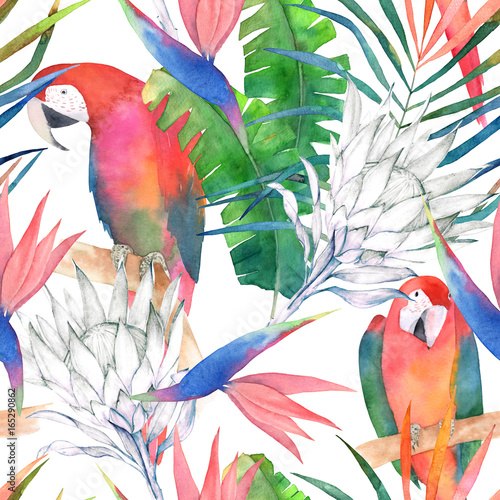 Tropical seamless pattern with parrots, protea and leaves. Watercolor summer print. Exotic hand drawn illustration