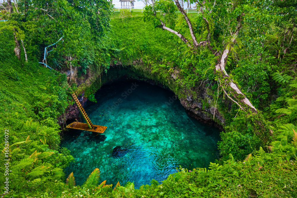 To Sua ocean trench - famous swimming hole, Upolu, Samoa, South Pacific  Photos | Adobe Stock
