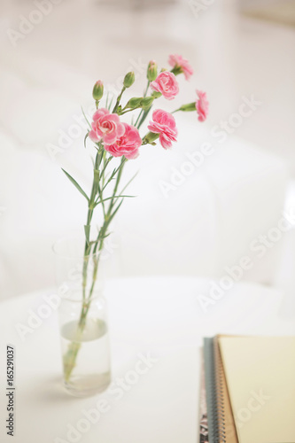 Pink carnations in white room