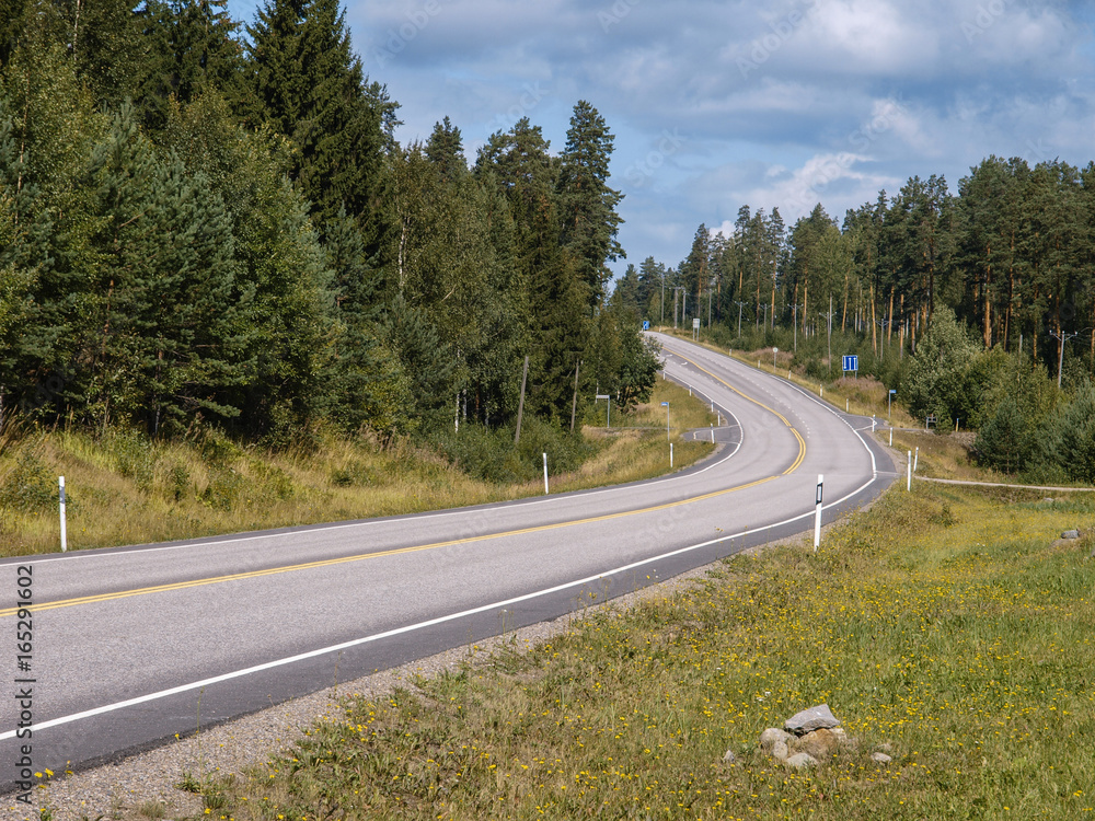 Curved road through the Scandinavian forest in summer