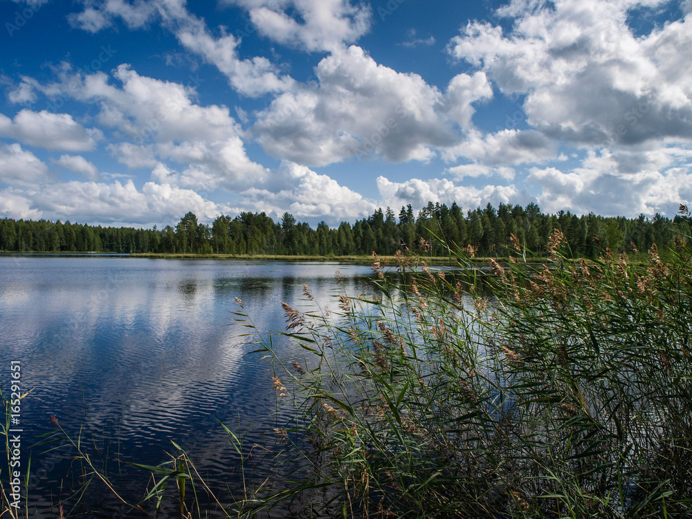 Scenery of the finnish lakes in summer surrounded by deep green forests